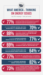 EnergyWorks4America polling